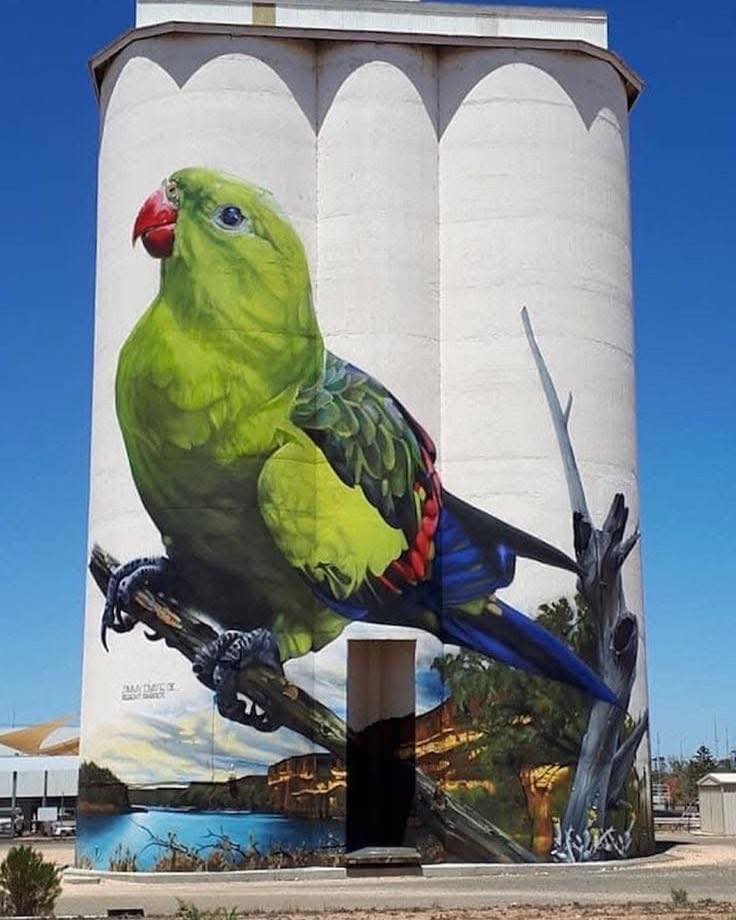 Silo Art by Jimmy Dvate... - Australian Outback Photography | Facebook