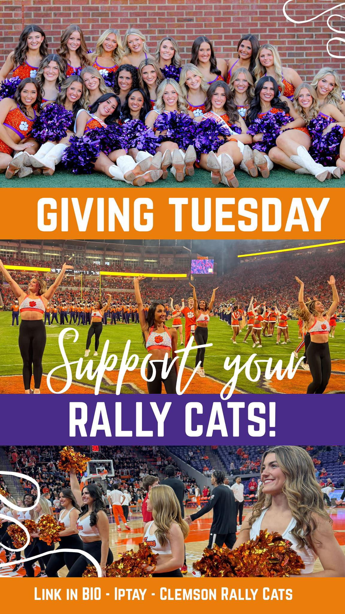 Rally Cats - Rally Cats added a new photo.