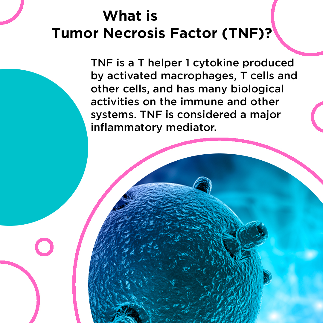 What is the Tumor Necrosis Factor (TNF)? Medical terms made easy! Find ...