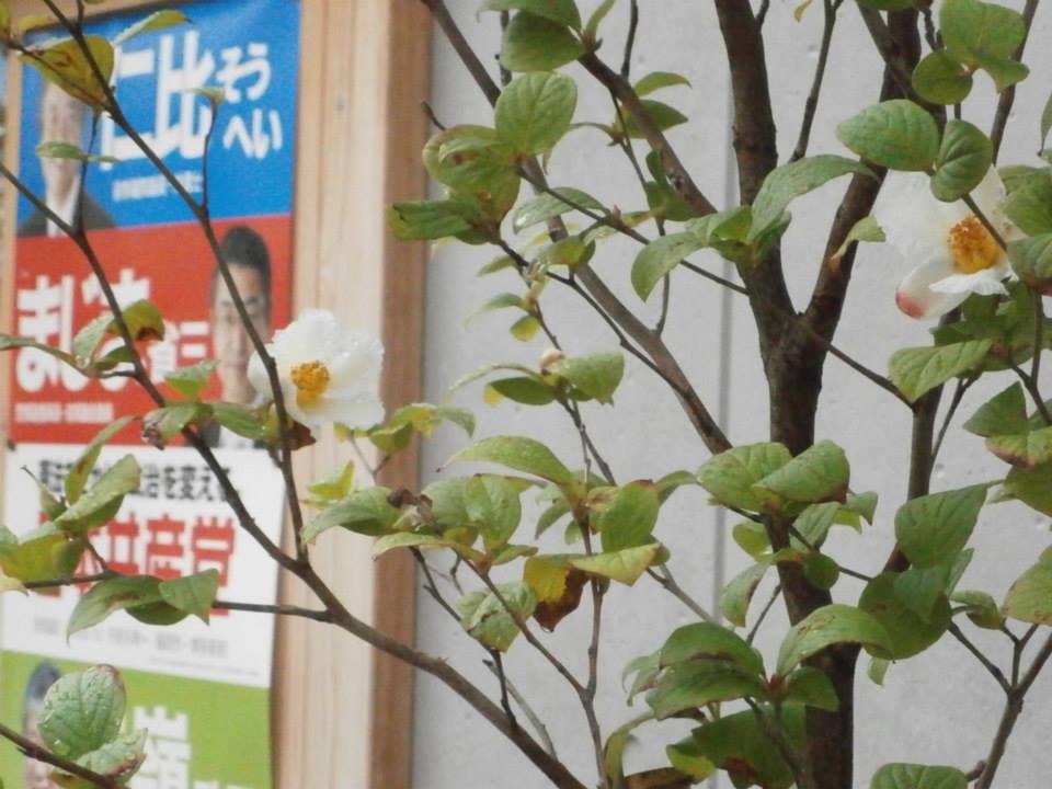 日本共産党門司 小倉地区委員会 Home Facebook