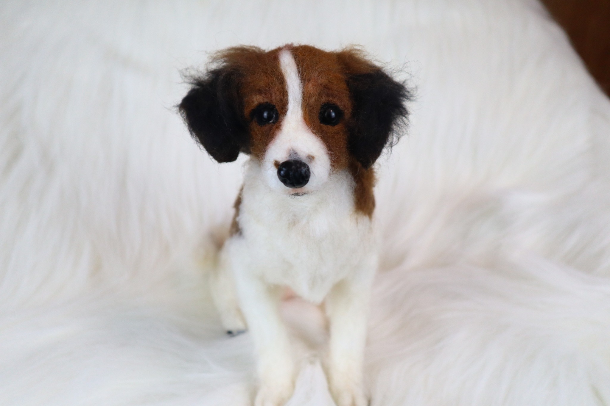 モーイちゃん完成しました😍 コーイケルホンディエ初挑戦！ まだ子犬な