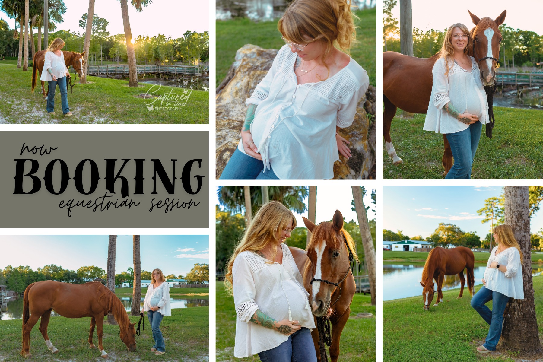 Ruxton's Ranch Rides | Pinellas Park FL
