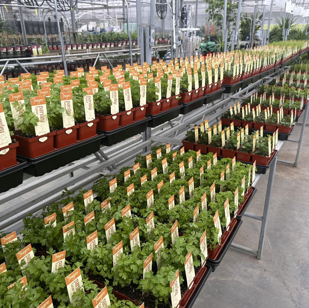 Art Knapp Plantland Home & Garden | Prince George BC