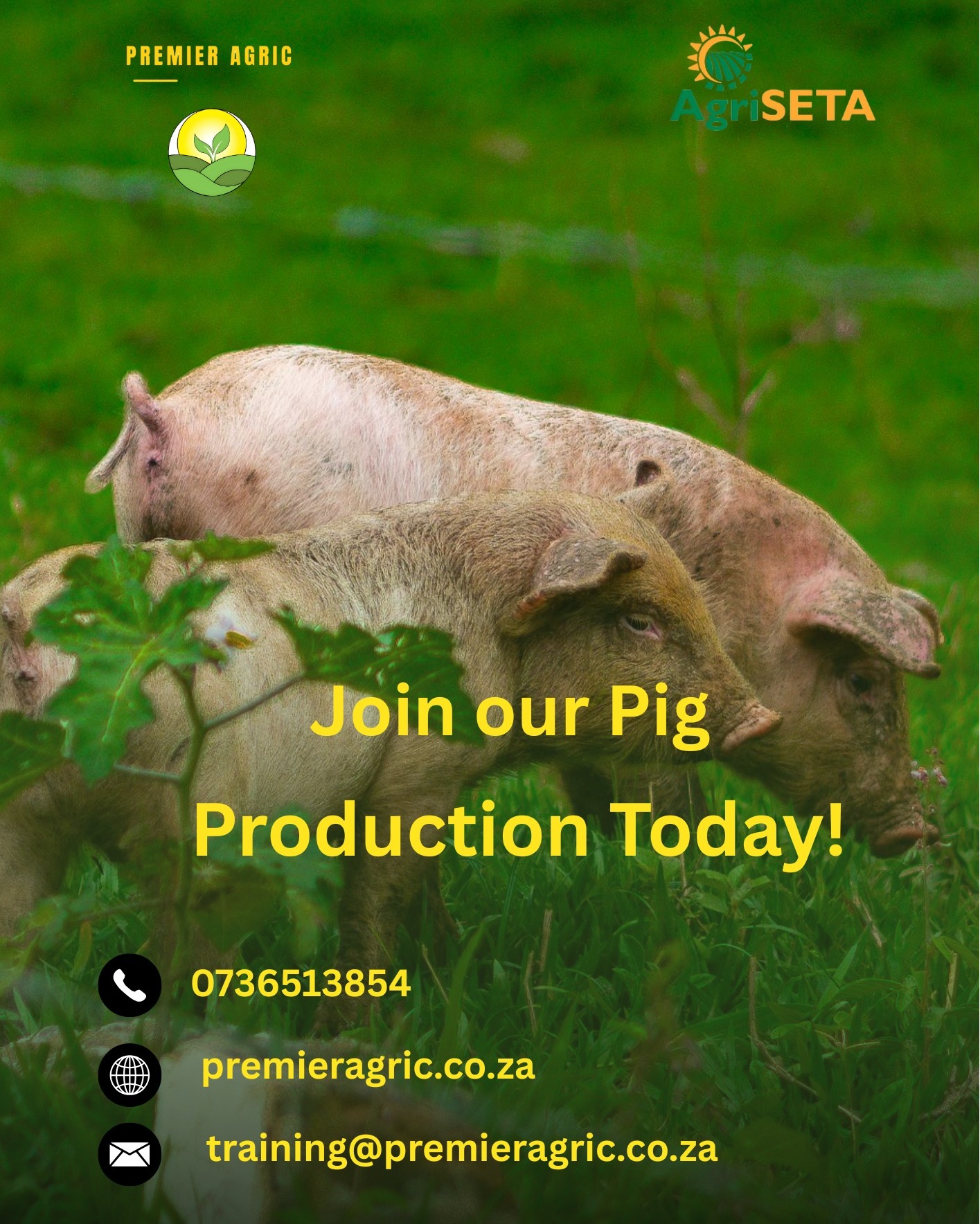 Premier - 🐷 Join a Pig Production Class Today! Learn the skills to run ...