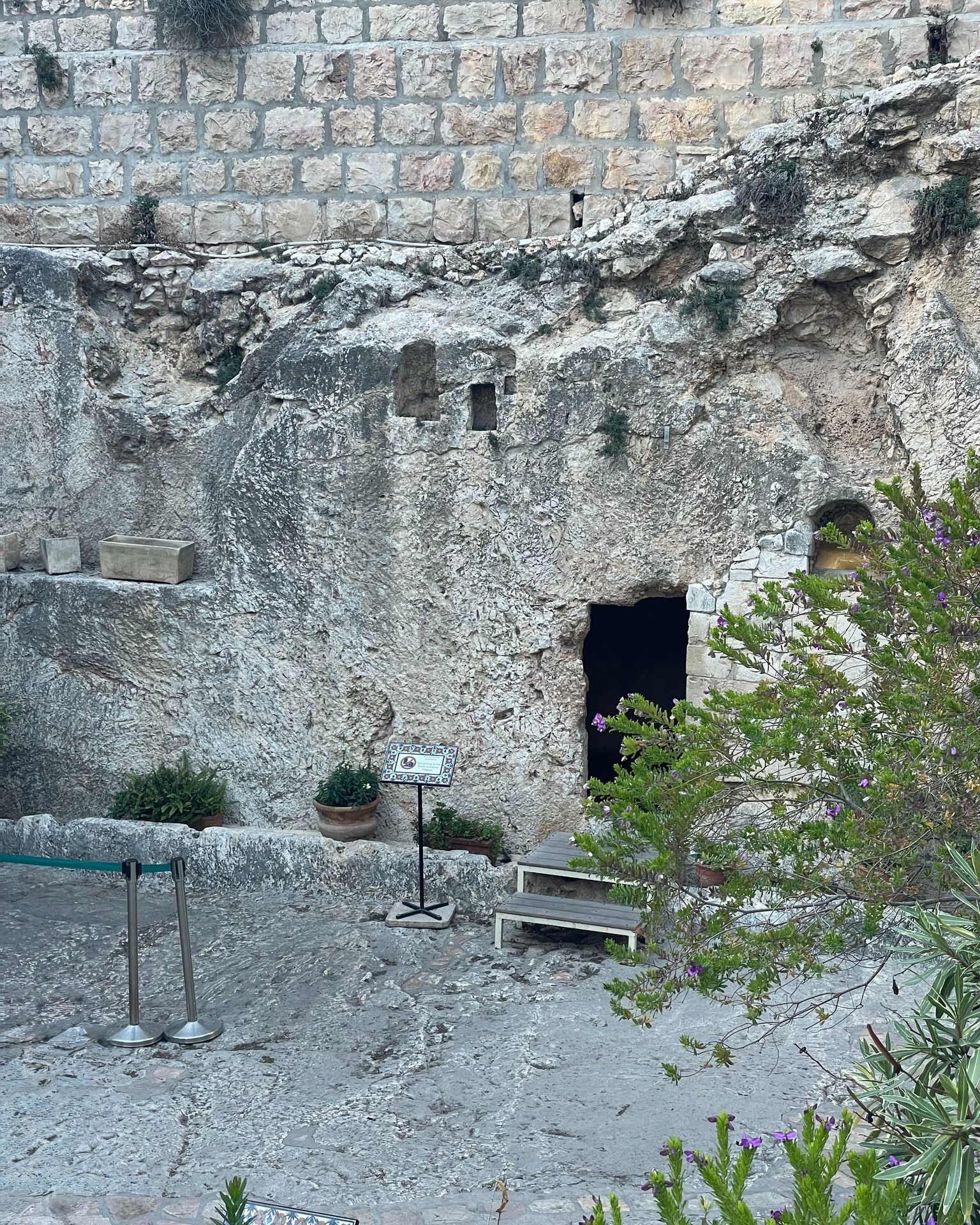 He is risen! Today we celebrate the resurrection of Jesus Christ