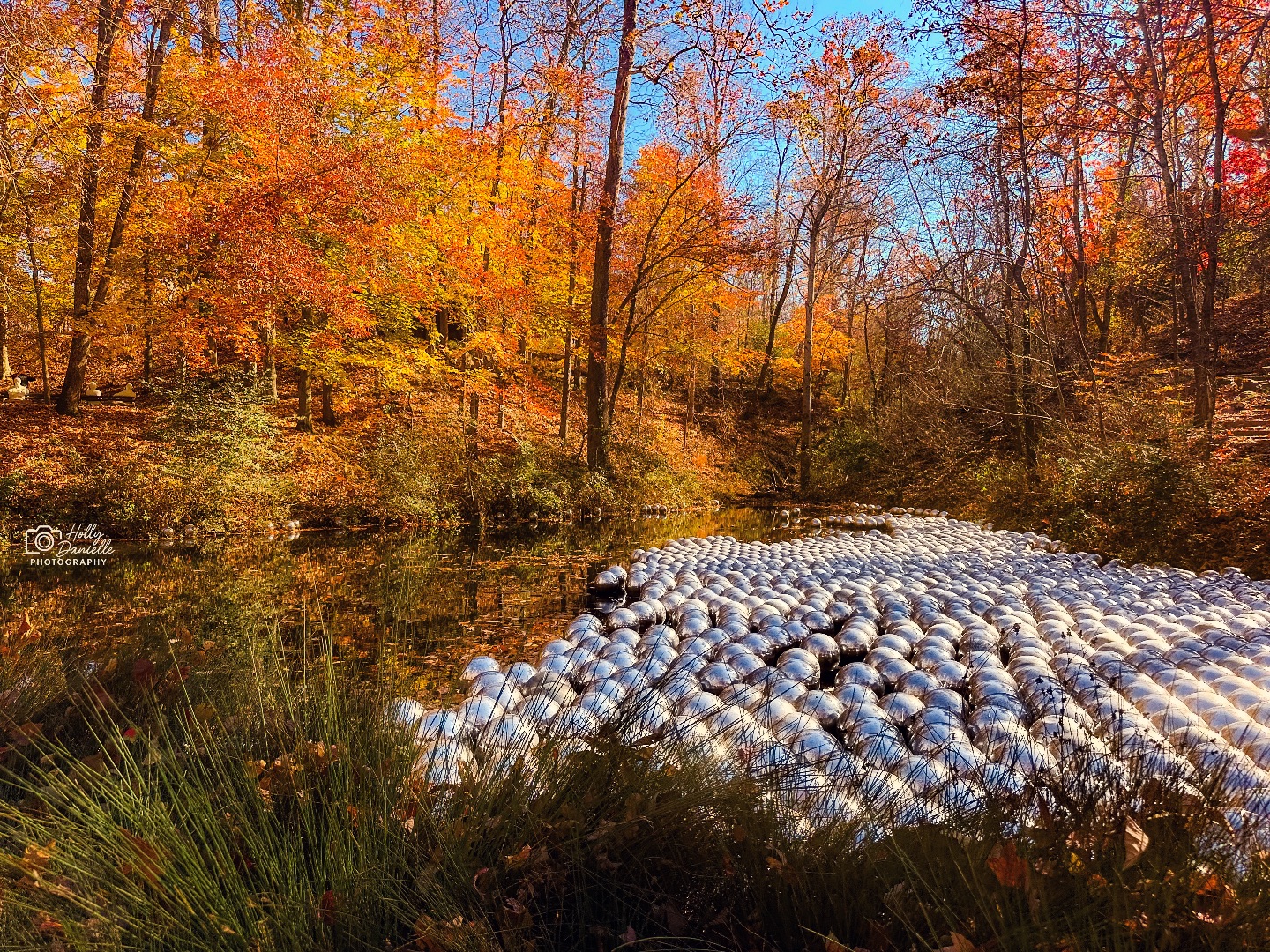 Yayoi Kusama's Narcissus Garden at Crystal Bridges Museum
