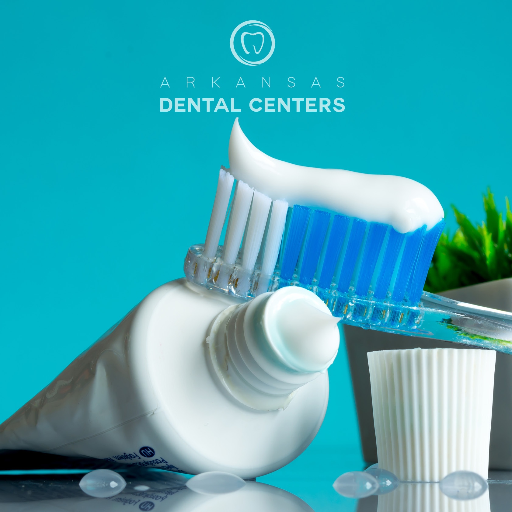 North - 🪥 Fun Fact: Americans buy more than 14 million gallons of ...