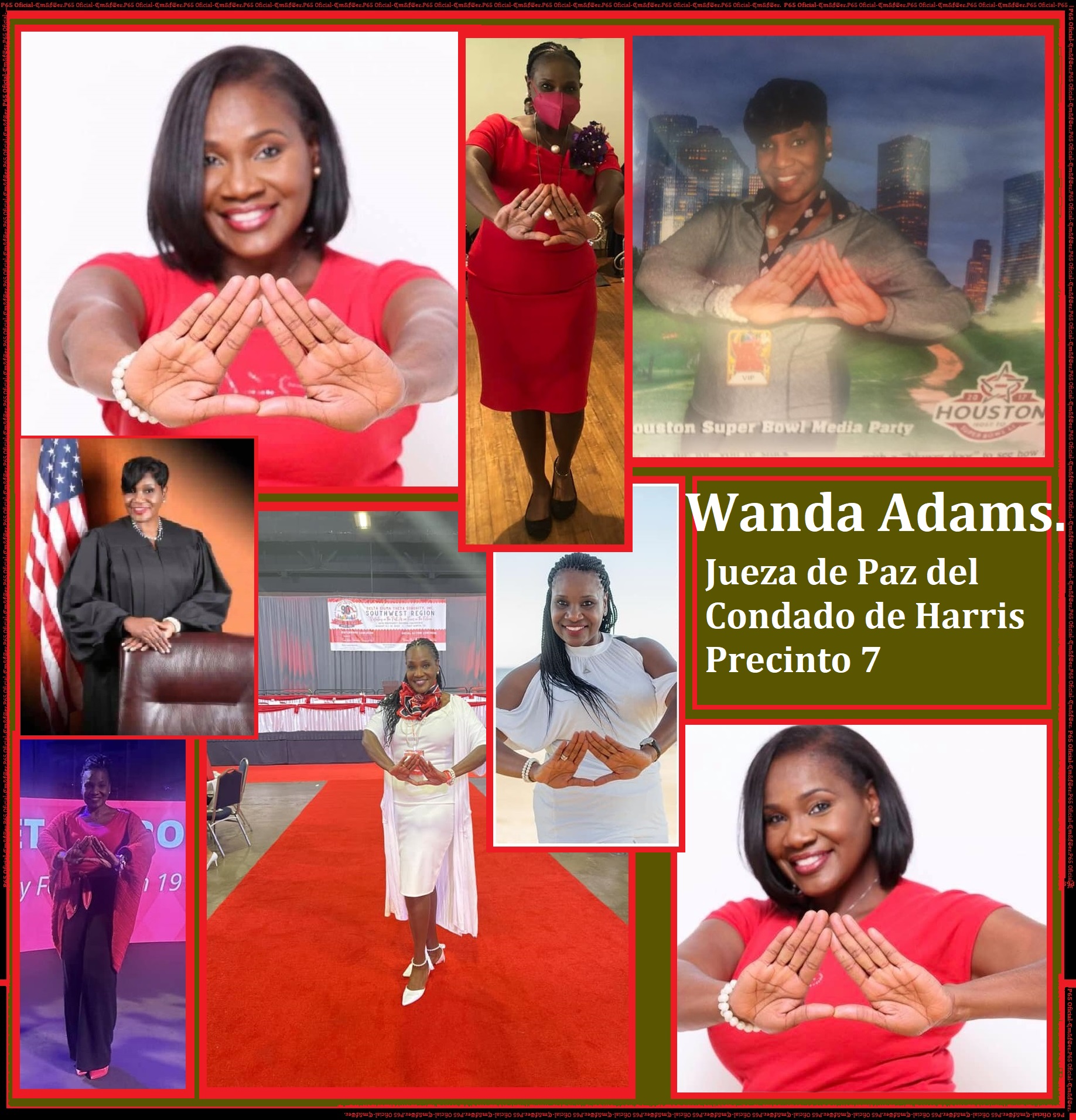P65- - 29-Jueza Wanda Adams (Condado de Harris, Texas) Wanda Adams es ...