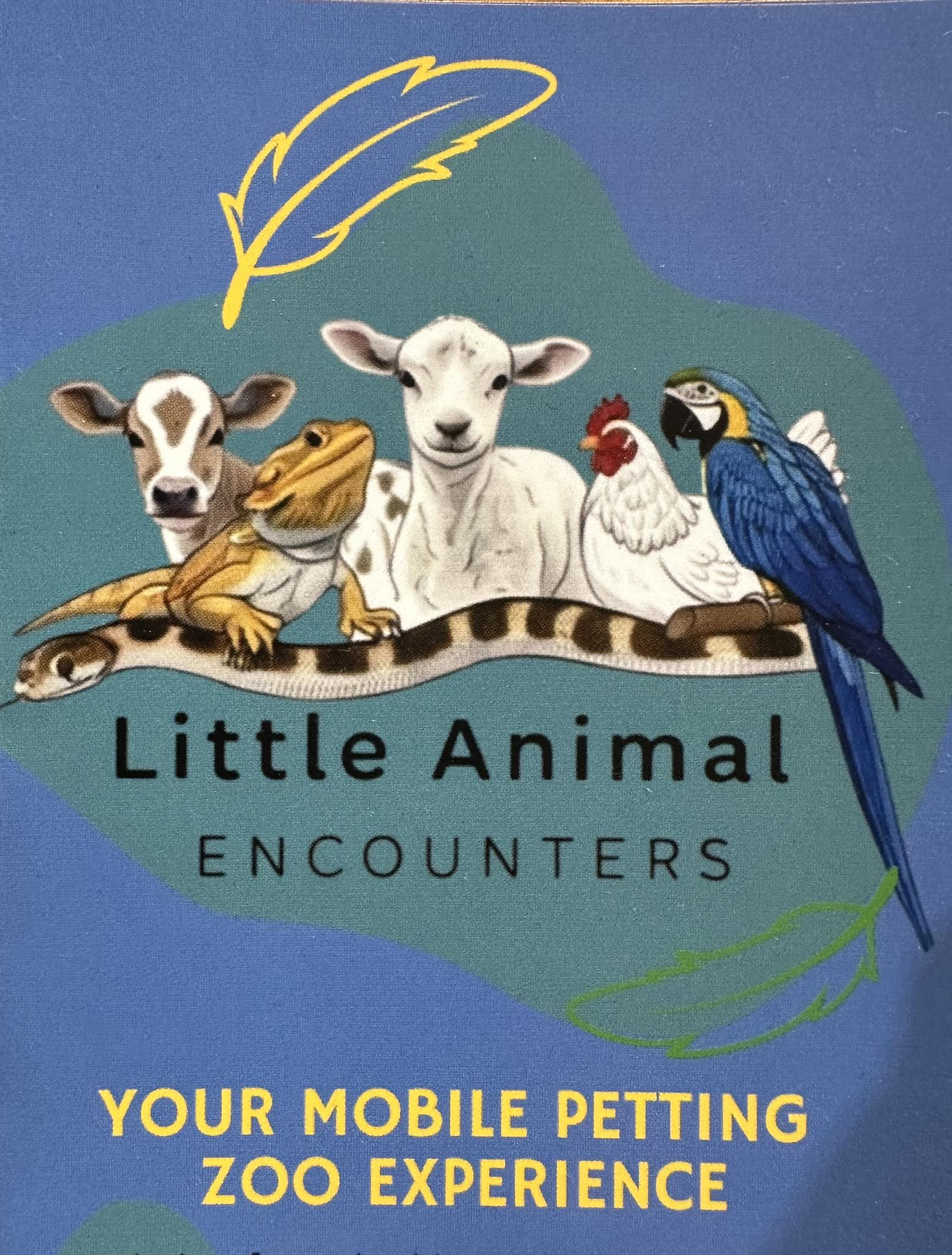 Little Animal Encounters