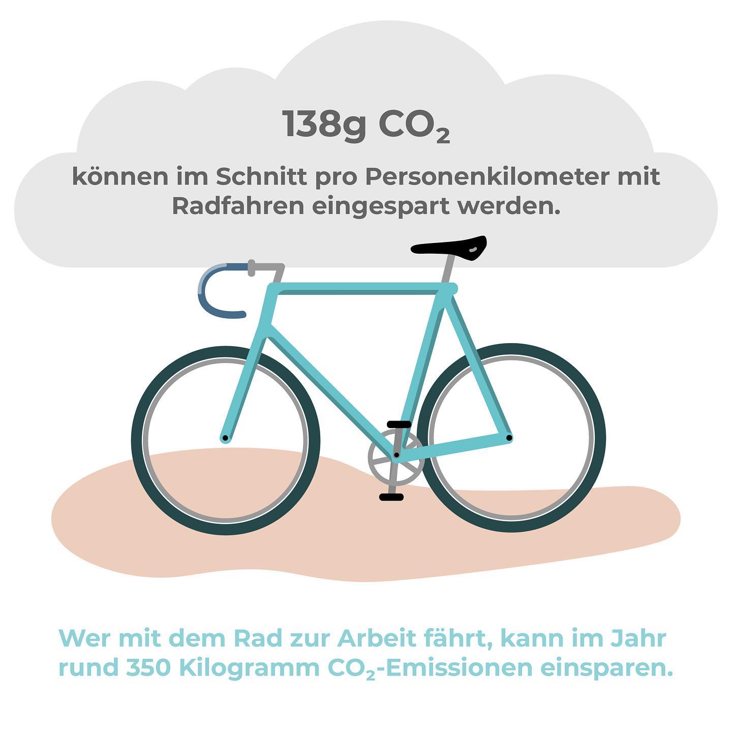 poc ventral air spin fahrradhelm Sprossen selber ziehen - Cargo reducing the force transmitted Size:Medium 5'1'' - 6'2'' Rider