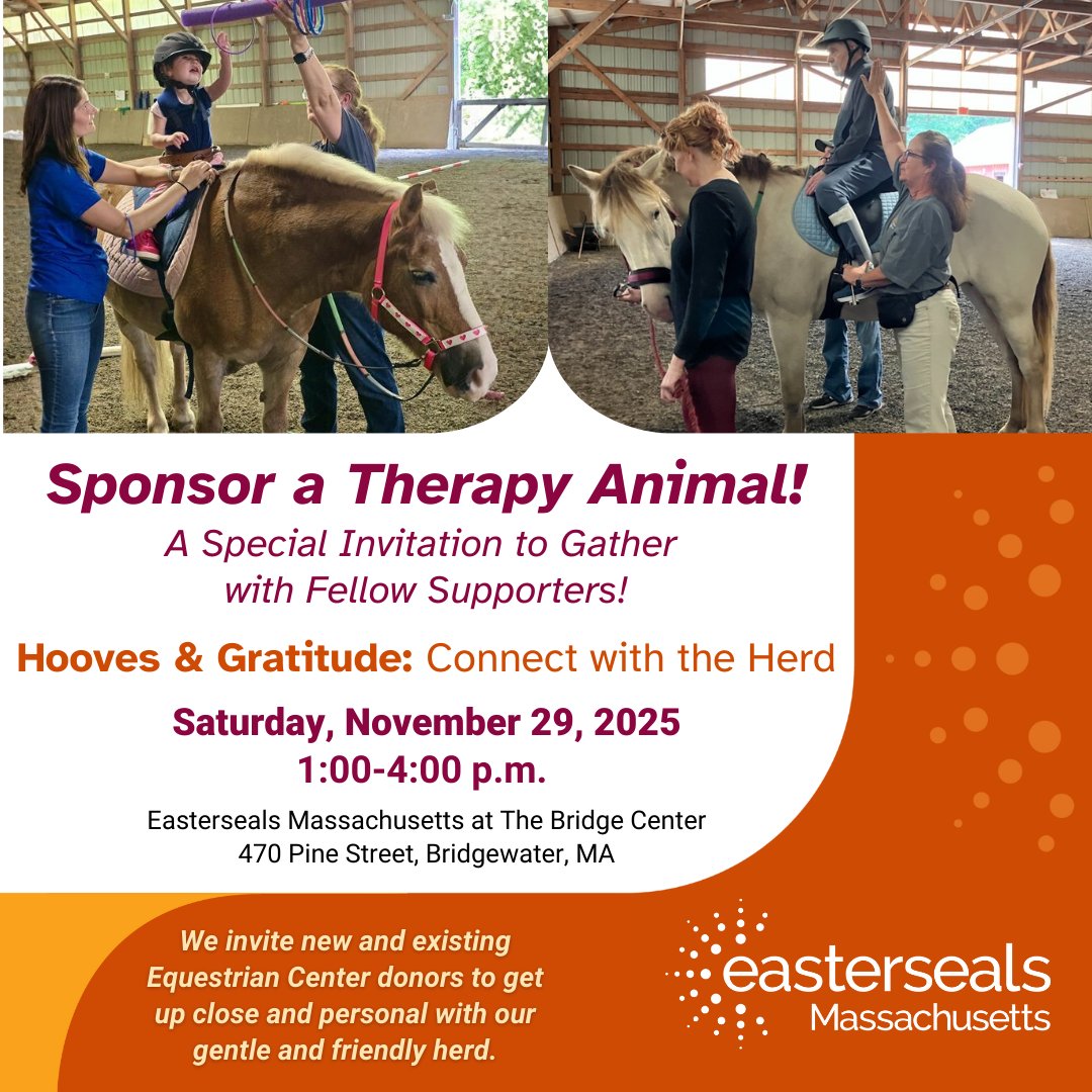 The Bridge - Our mares are marvelous! Follow Whitney and Dolly as they ...