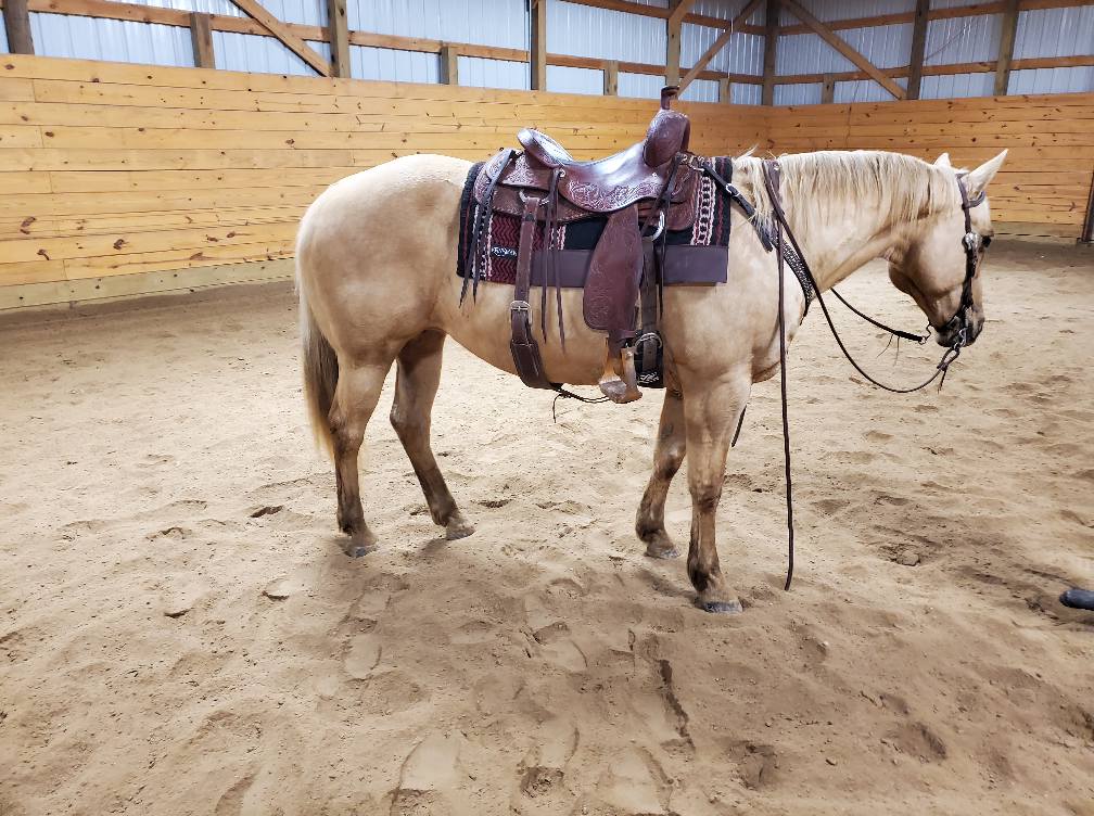 ROCK RIDGE RANCH Equine added a... - ROCK RIDGE RANCH Equine