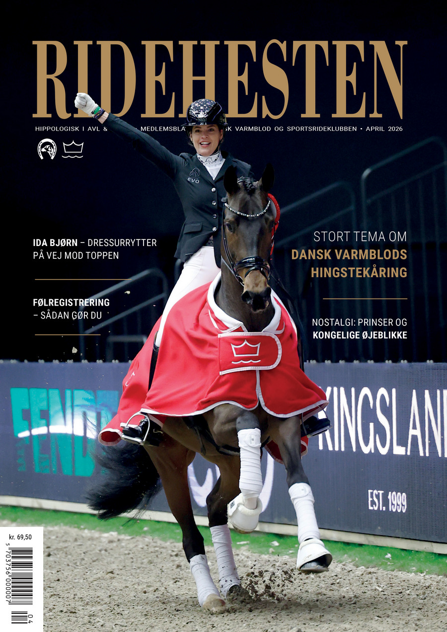 Ridehesten - 💔 I en alt for tidlig alder har hesteavler... | Facebook