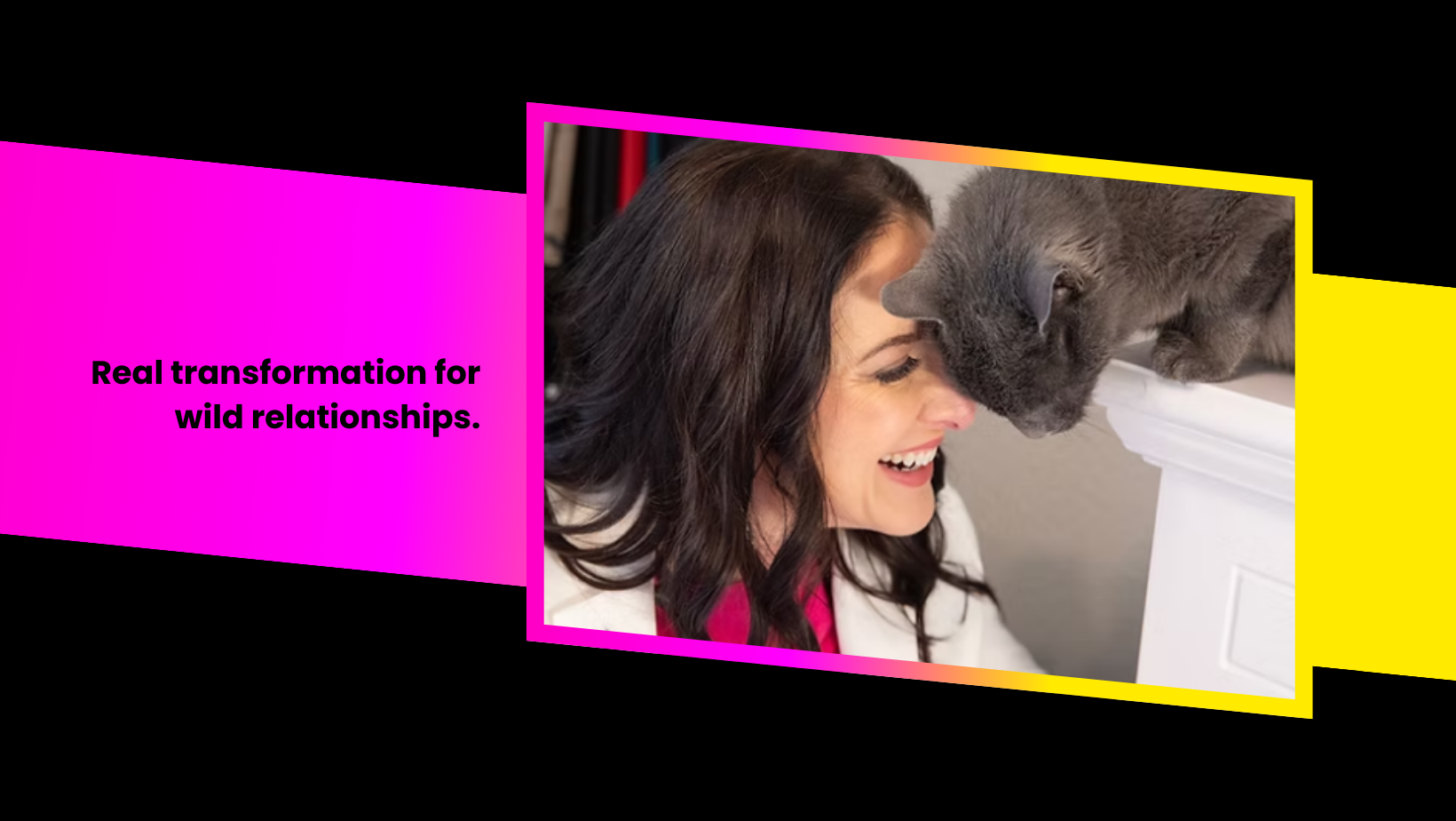 Dr C Vet Behavior
