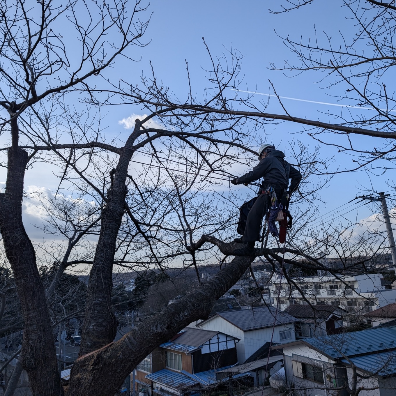 株式会社 清水園 (@zouen.shimizuen) • Facebook