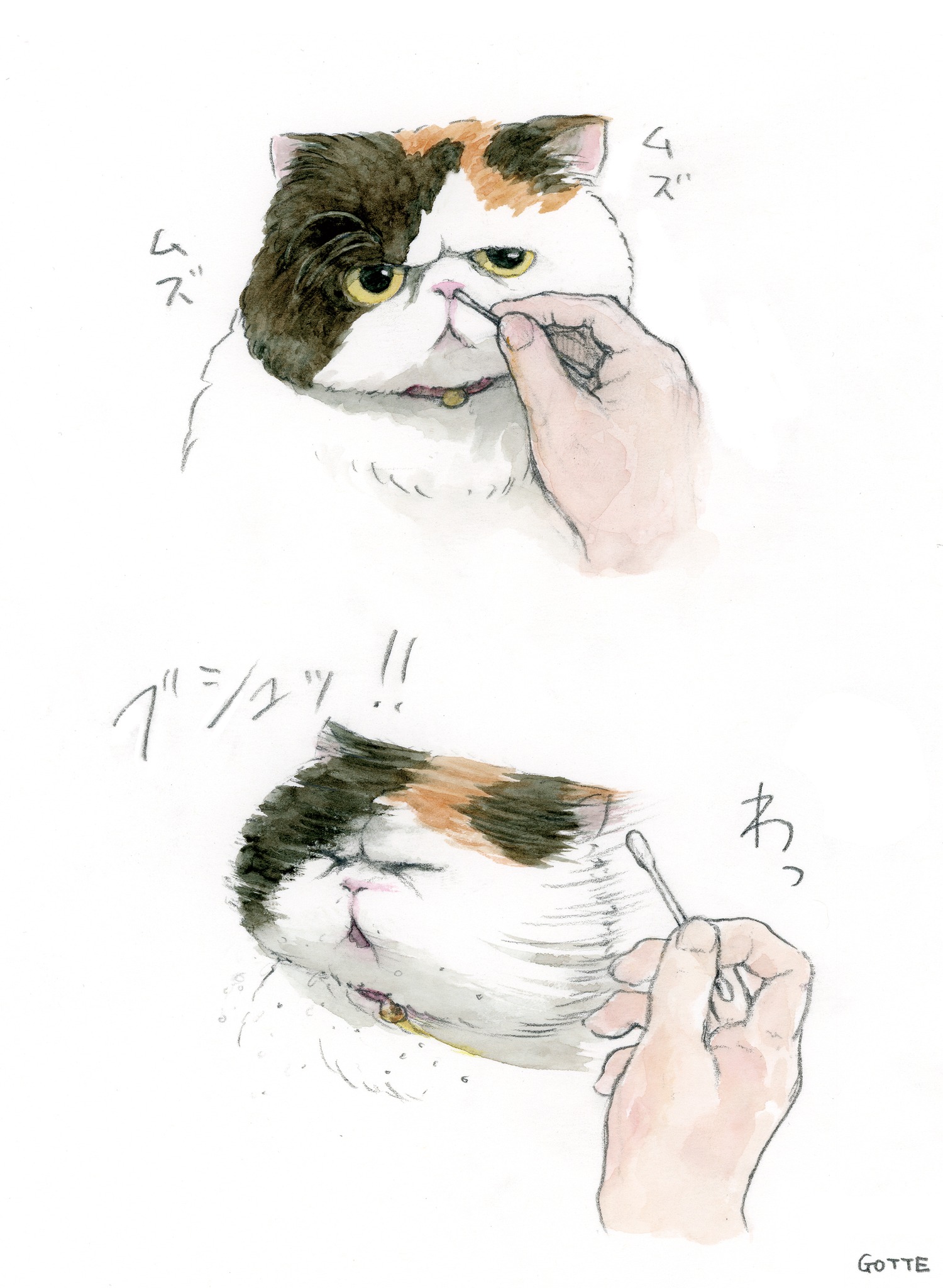猫のはなくそ取り （たまに私の顔面にくしゃみしてくる）