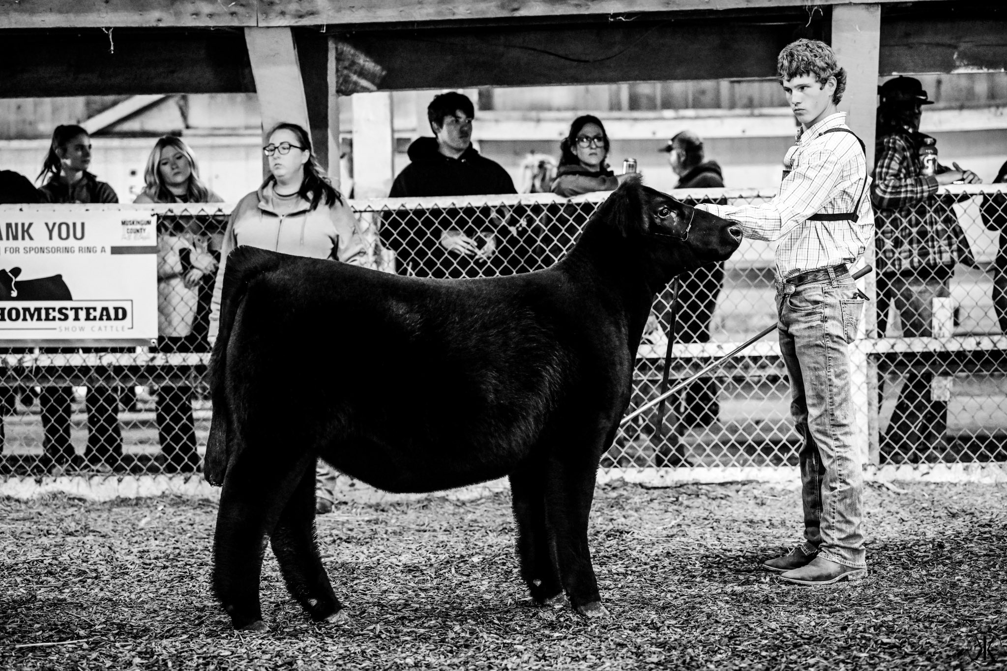 Dupler Cattle | Mount Perry OH
