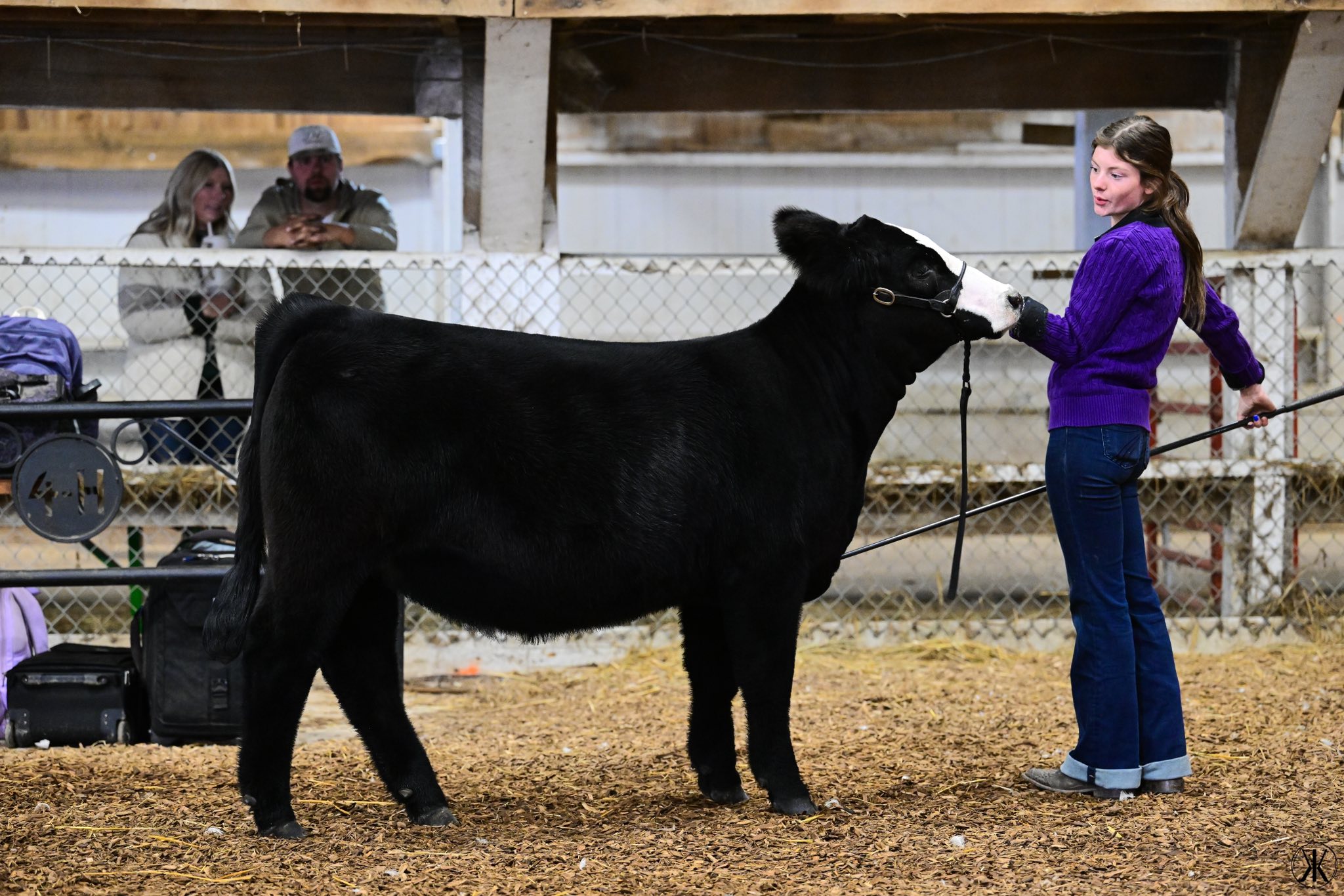Dupler Cattle | Mount Perry OH