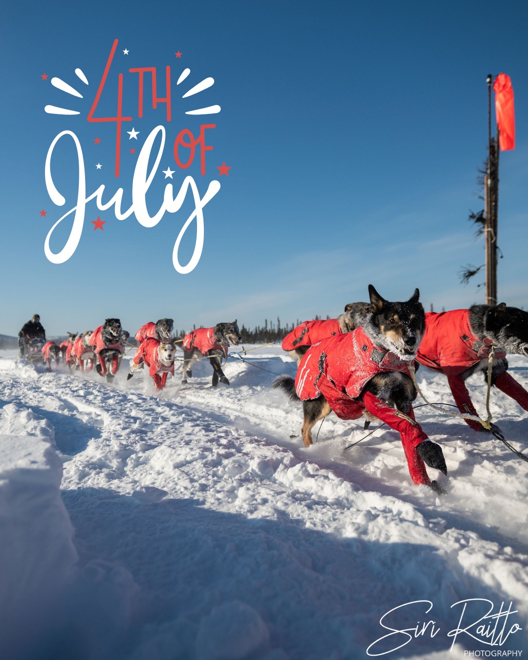The Iditarod - 🐾 #Iditarod #ThrowbackThursday 🐾 Michael Madden