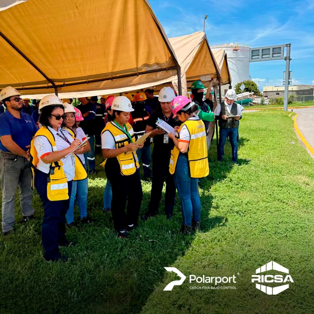 Ricsa | Veracruz