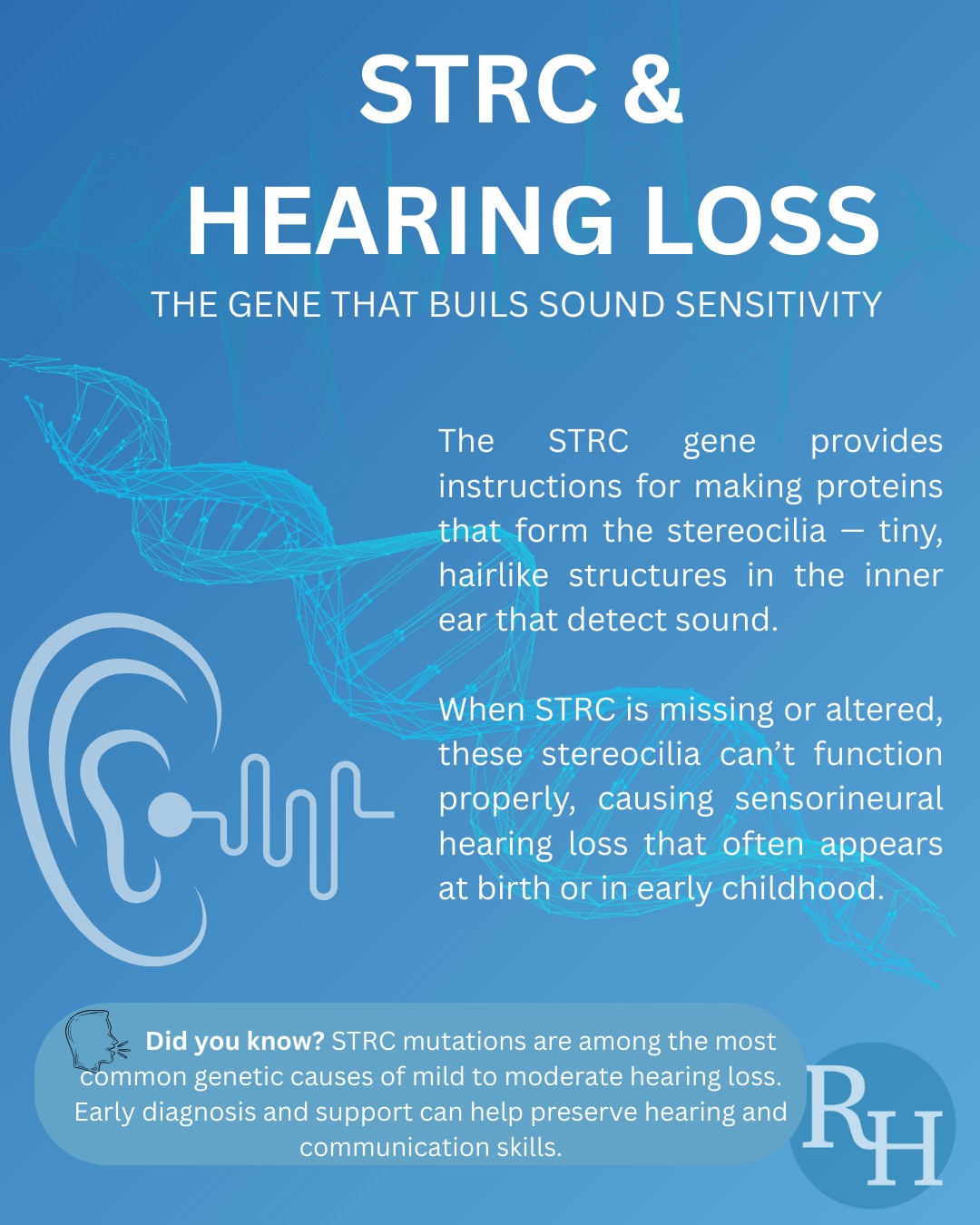 🧬 STRC — The Gene That Builds Sound... - Rescue Hearing Inc | Facebook
