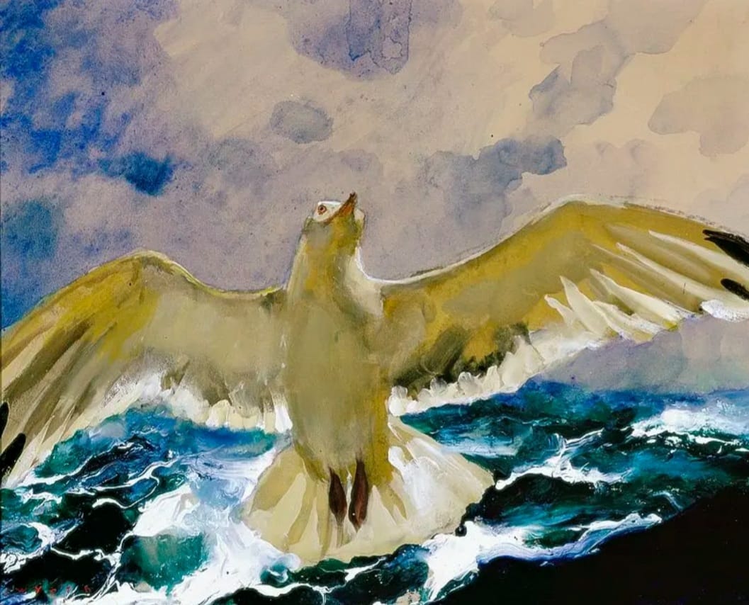 Seagull Jonathan Livingston, 2003 bromoil, 35 cm x 25 cm