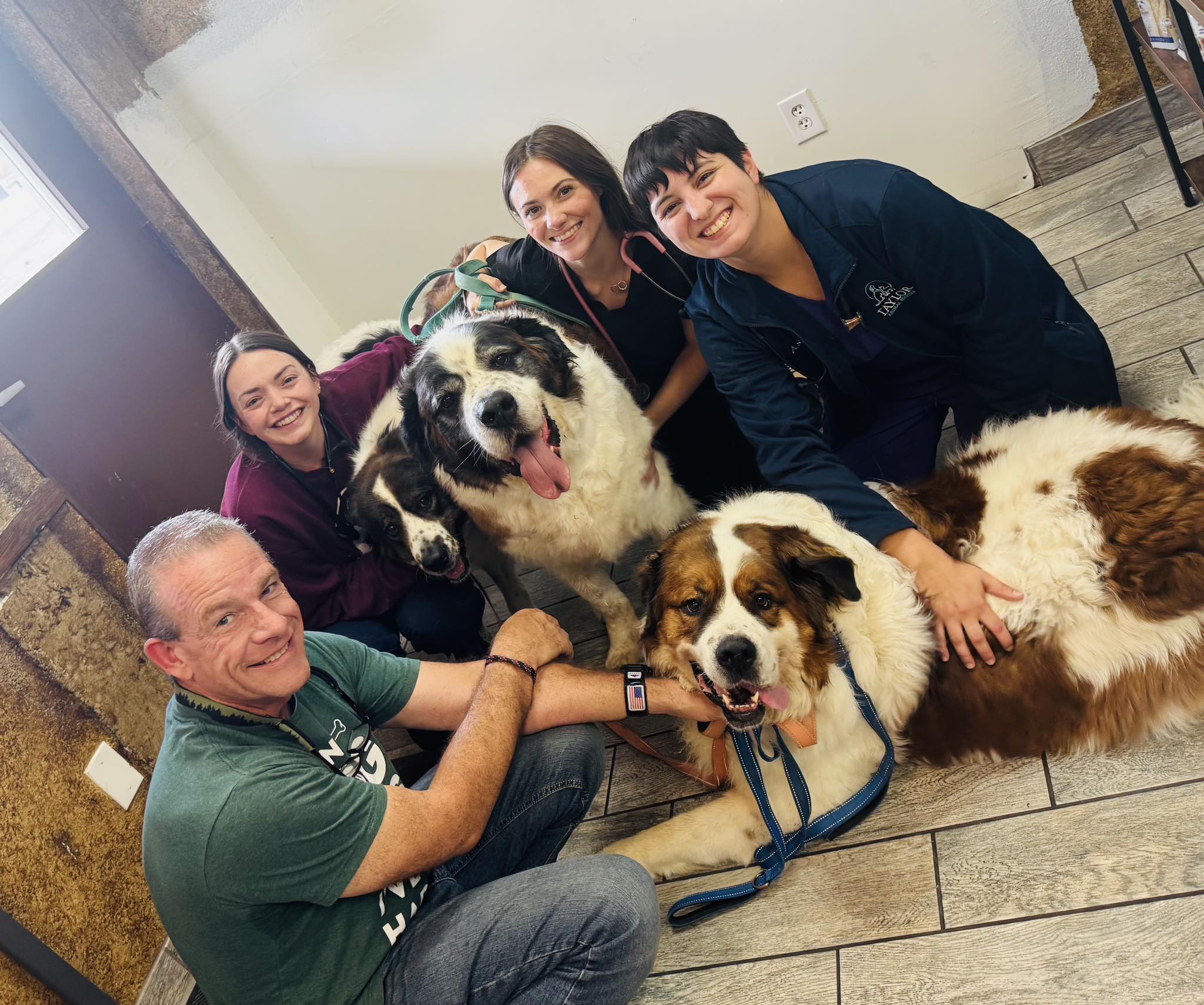 Taylor Animal Hospital | Taylor TX