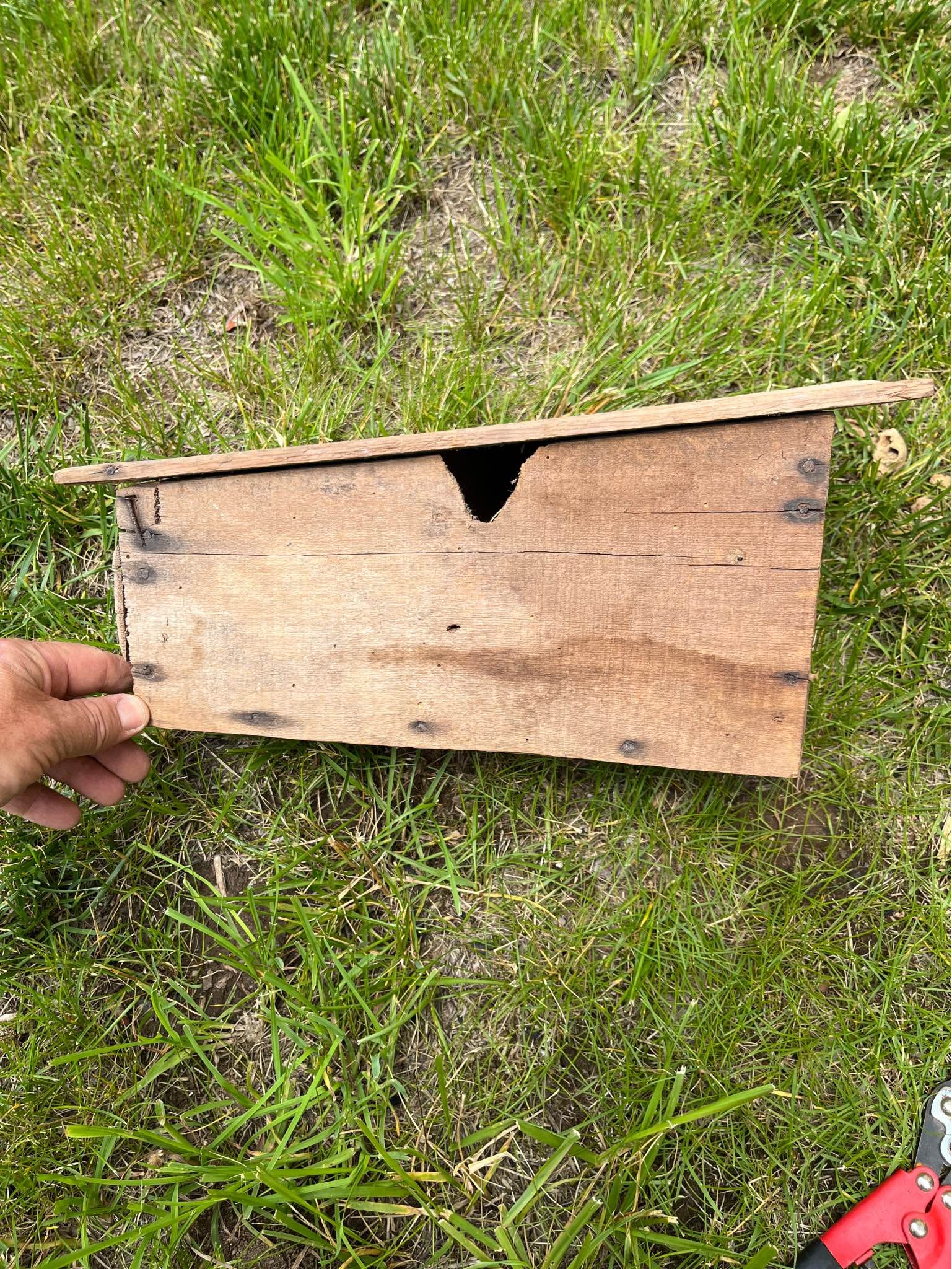 Vintage trappers weasel box and trap or unique bird box - Birdhouses ...