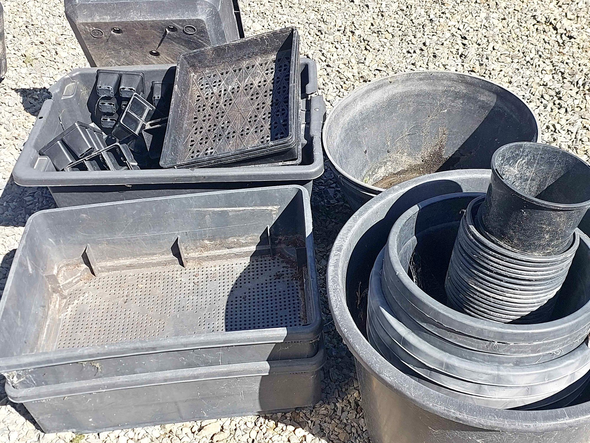 Plant pots, seed trays. - Pots & Planters - Rangiora, New Zealand ...