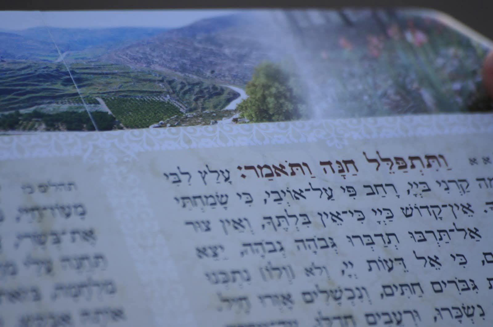 שילה הקדומה Ancient Shiloh | Jerusalem