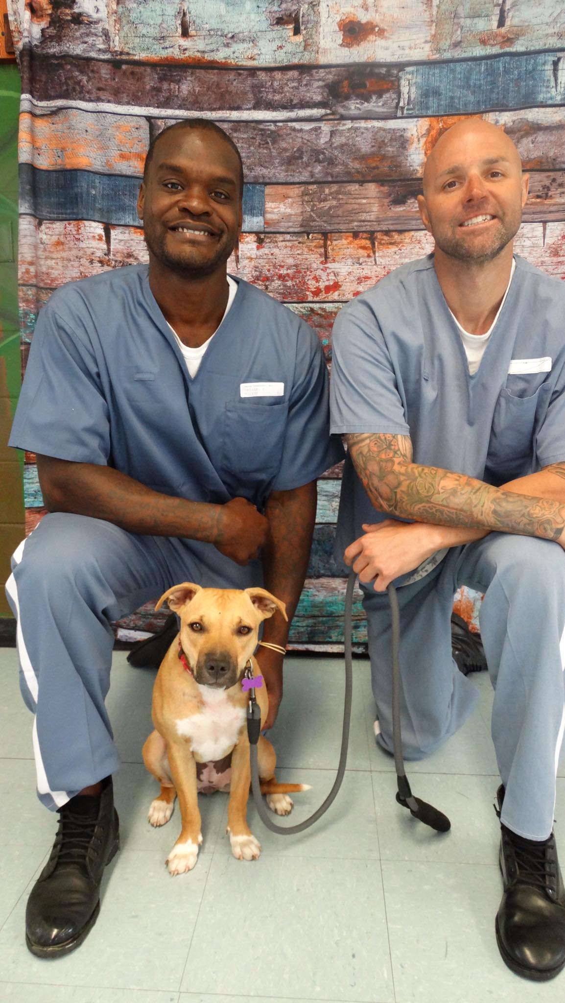Florida Department of Corrections