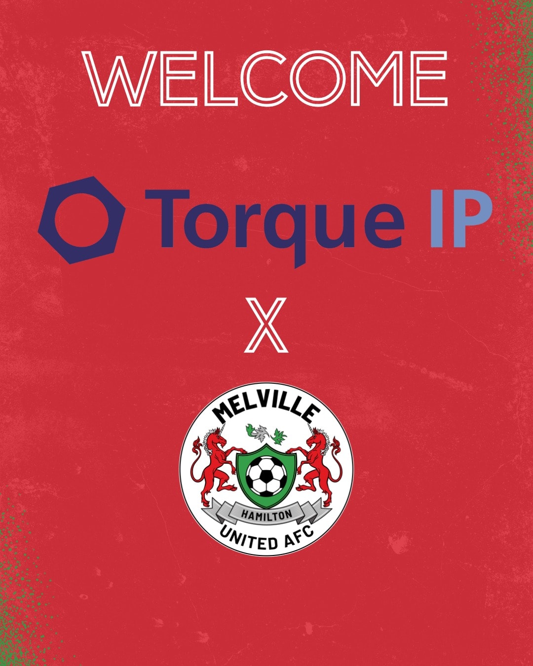 Torque IP | Auckland