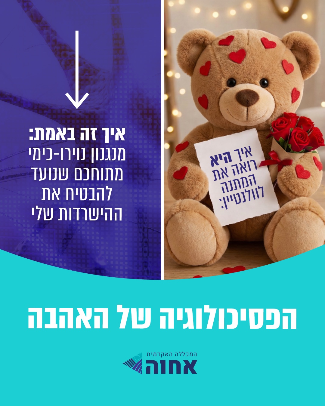 המכללה האקדמית אחוה | Yinon