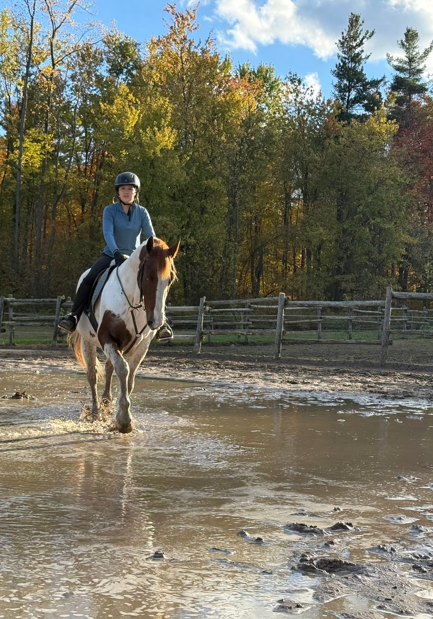Carousel Stables added a new photo — at... - Carousel Stables