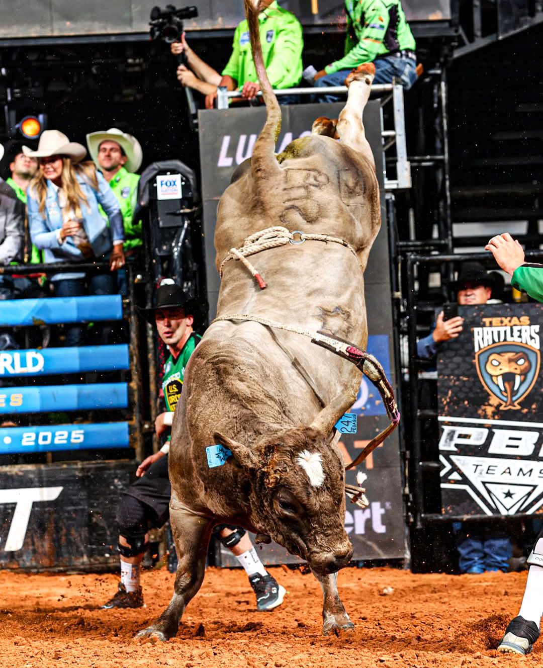 Rodeo - WOW! 🤩 Great photograp! 📸 #rodeonewsbroadcast #rodeo #pbr ...