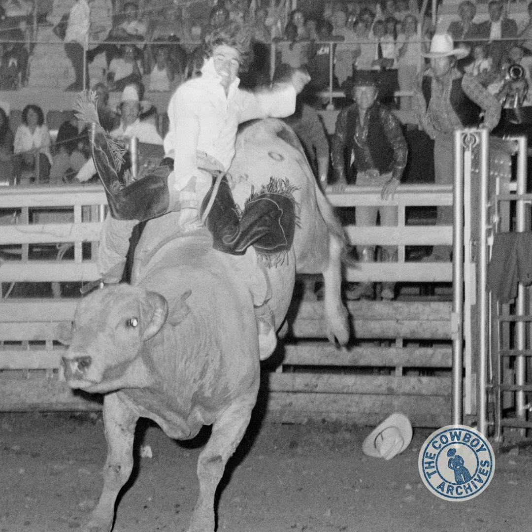 bronx wild bull l-carnitine review Denny Flynn was laid up in a hospital bed in Salt Lake City in the summer of 1975. He was on the mend after being gored by a bull, whose left horn Amy Myers MD® Reviews Vitamin C for dull skin Size:473ml (16oz)