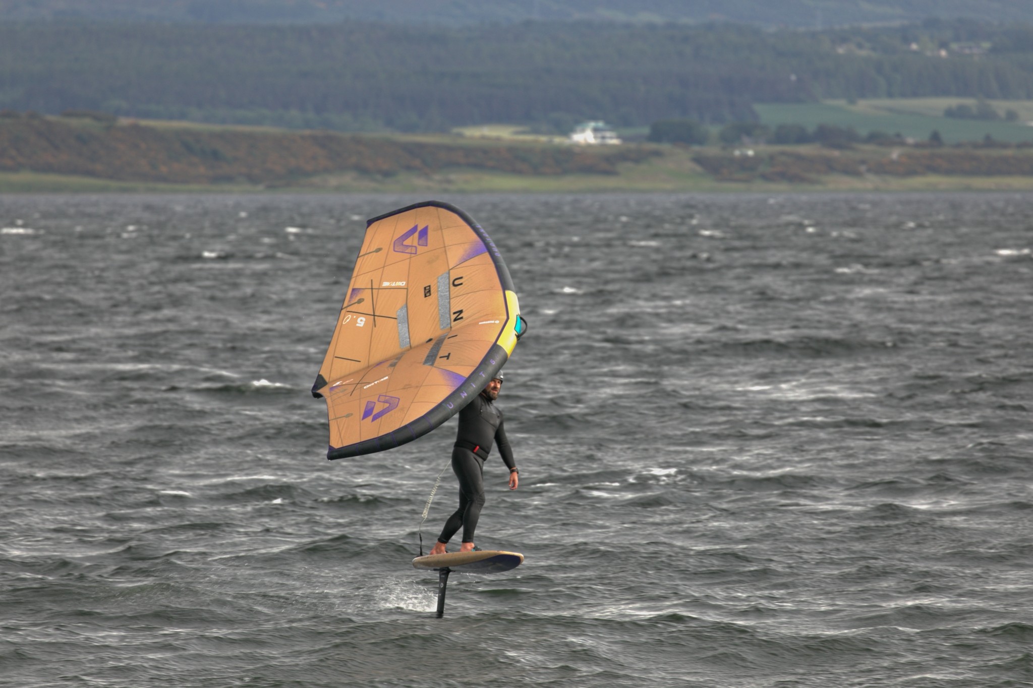 Good morning folks, we thought you might enjoy these photos, taken 