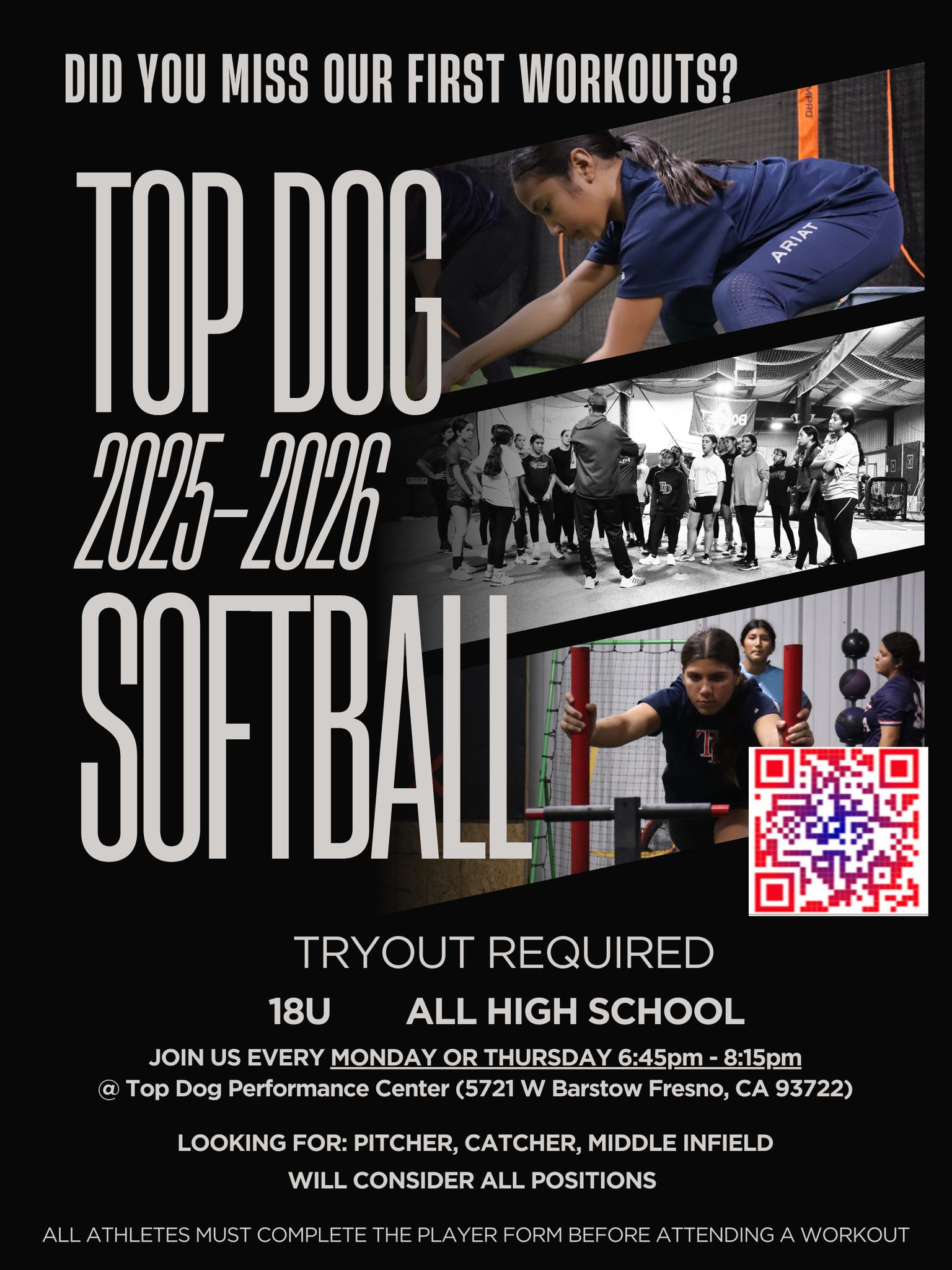 🚨 2025-2026 year with Top Dog Softball... - Top Dog Softball | Facebook