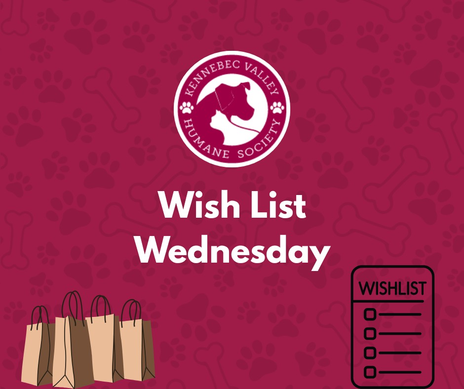 Wish List Wednesday! ❤️ Looking for a simple way to support the