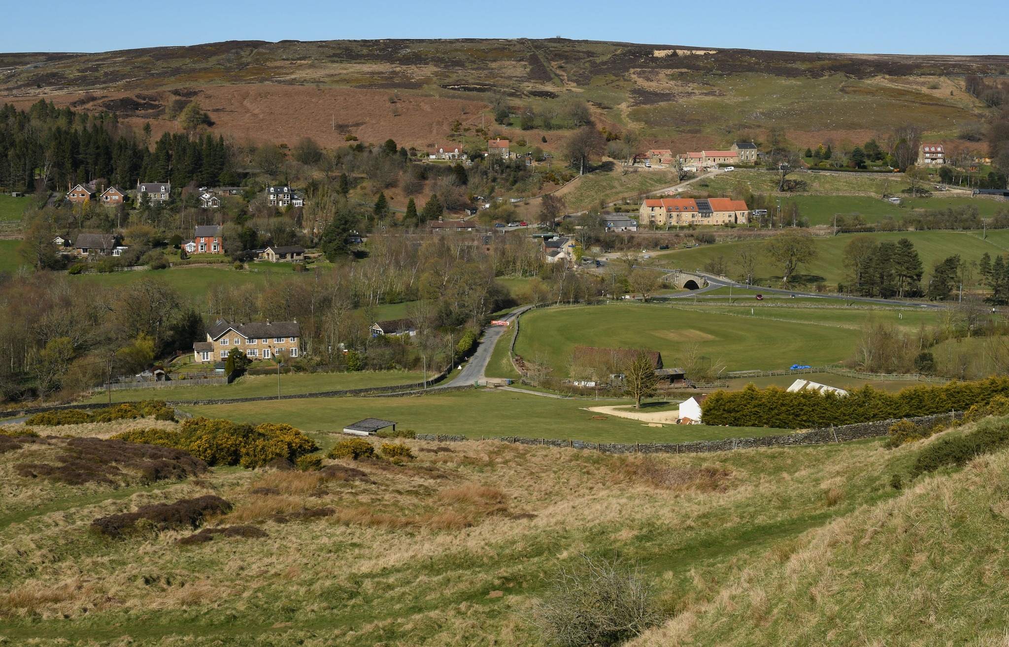 Cricket - If you look closely, you'll spot a cricket ground. 🧐 Anyone ...