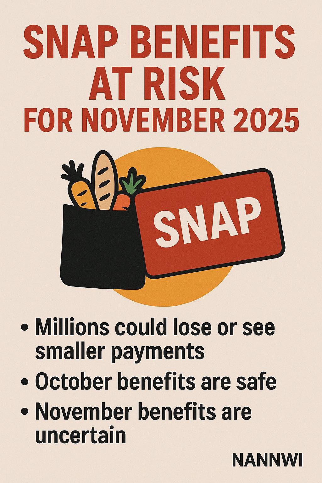 🚨 SNAP BENEFITS AT RISK FOR... - Lsybusinessconsulting | Facebook