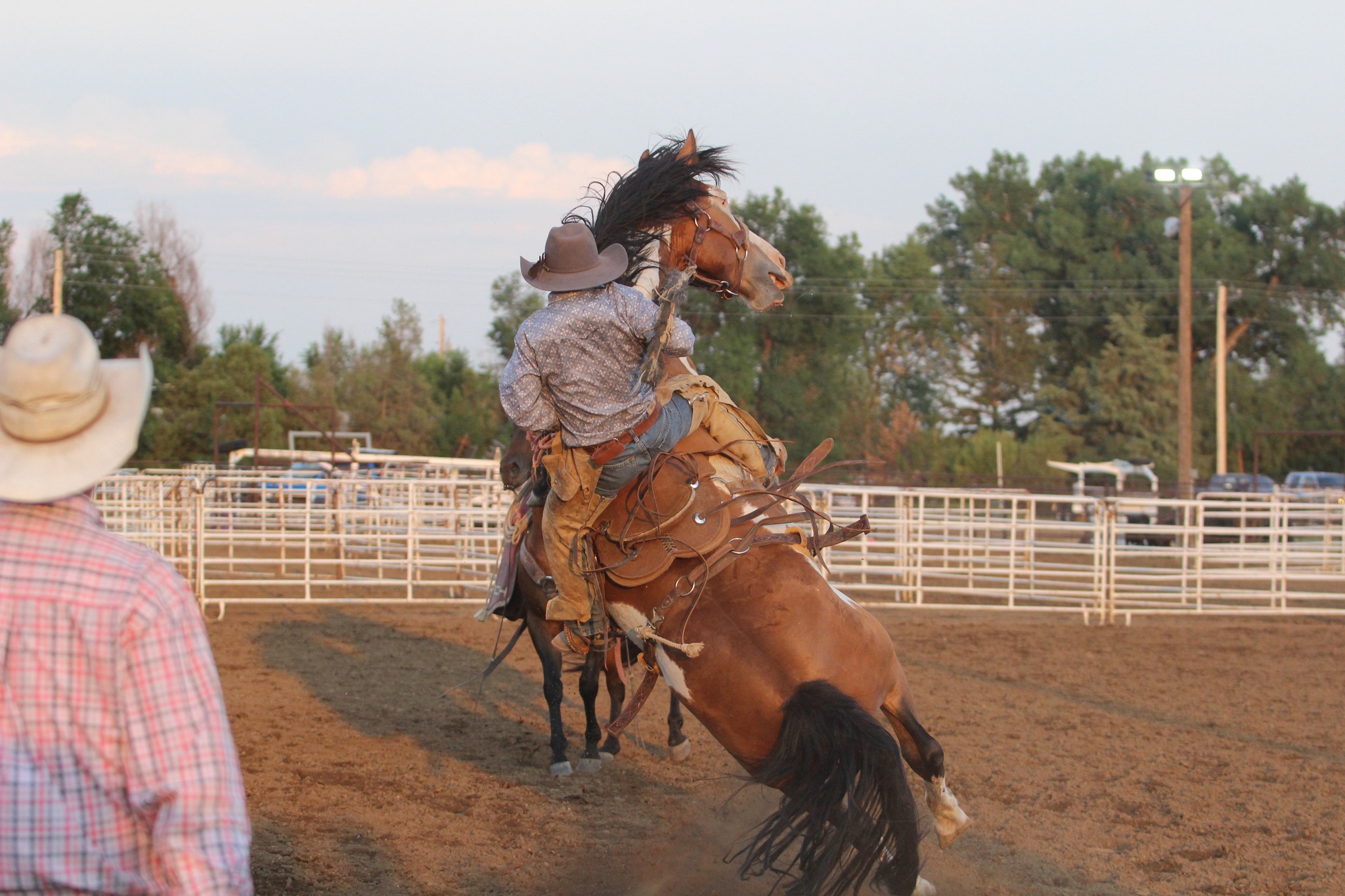 CCF Grittin All In Ranch Rodeo & Ranch Bronc Riding Match