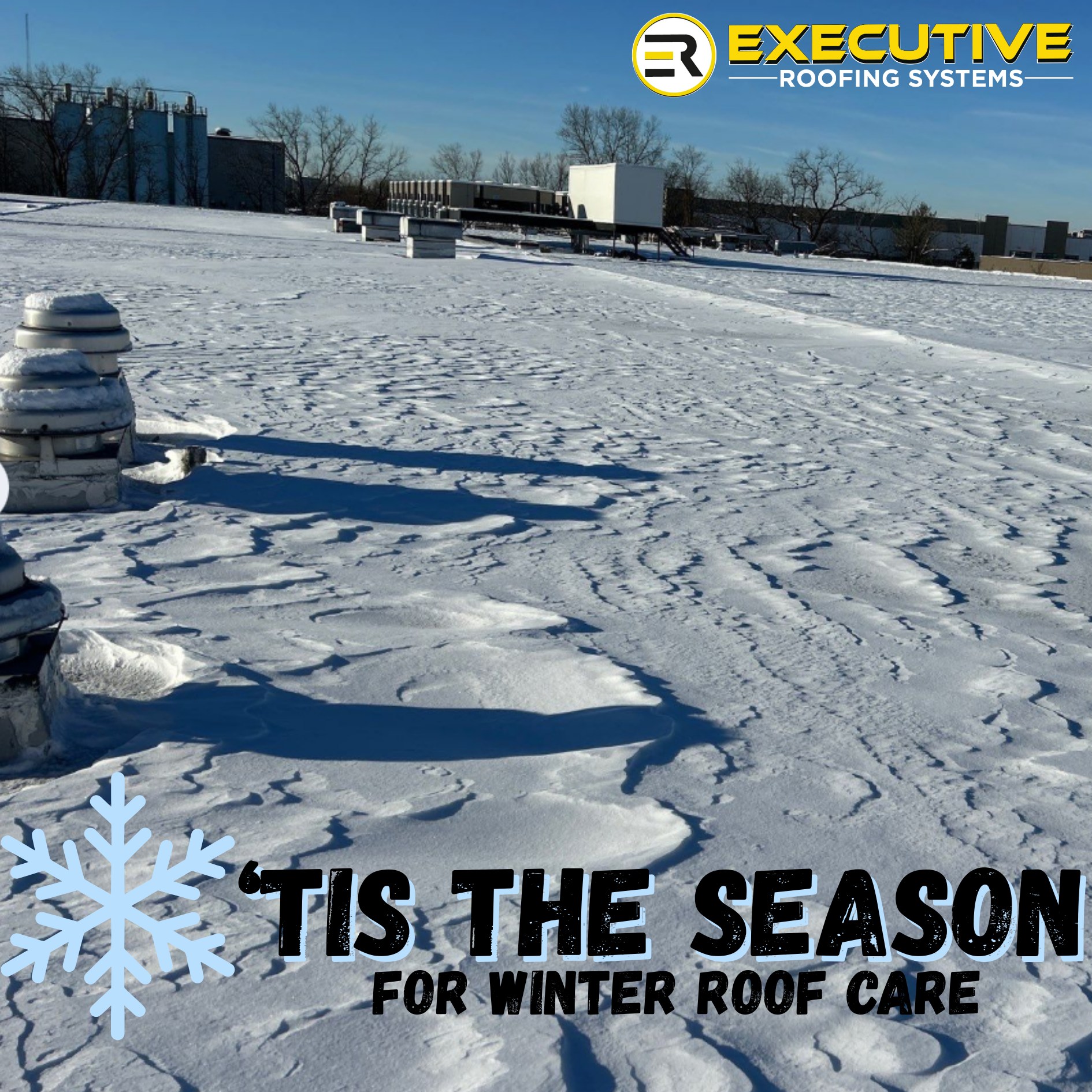 Executive - ️ Winter Reminder: Don’t overlook your roof after snowfall ...