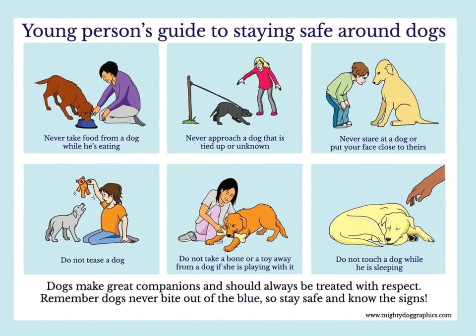 Training Tails - Did you know Sally is an approved Trainer... | Facebook