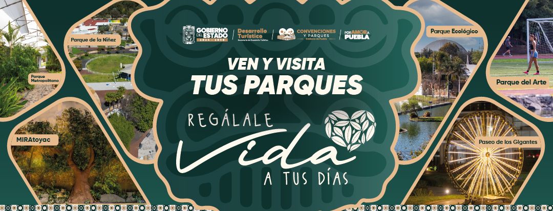 Rumba social - Inauguración Viernes 30 y sábado 31 de... | Facebook