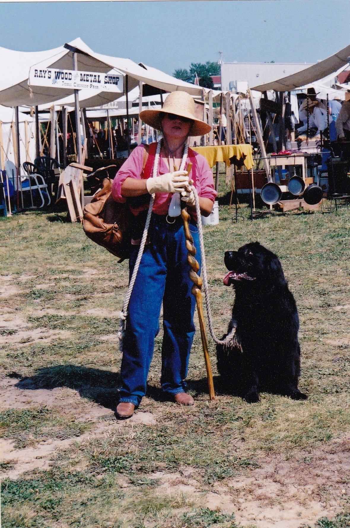 Senior Newfoundland Dogs | She's gone, crossed the rainbow Bridge ...