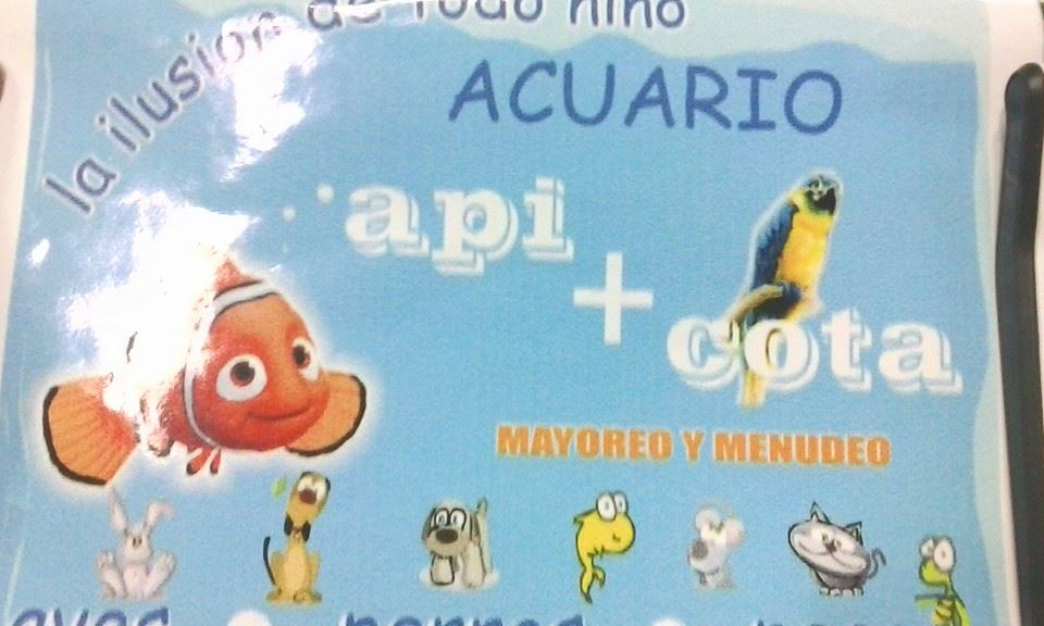 Api-Aba - Home