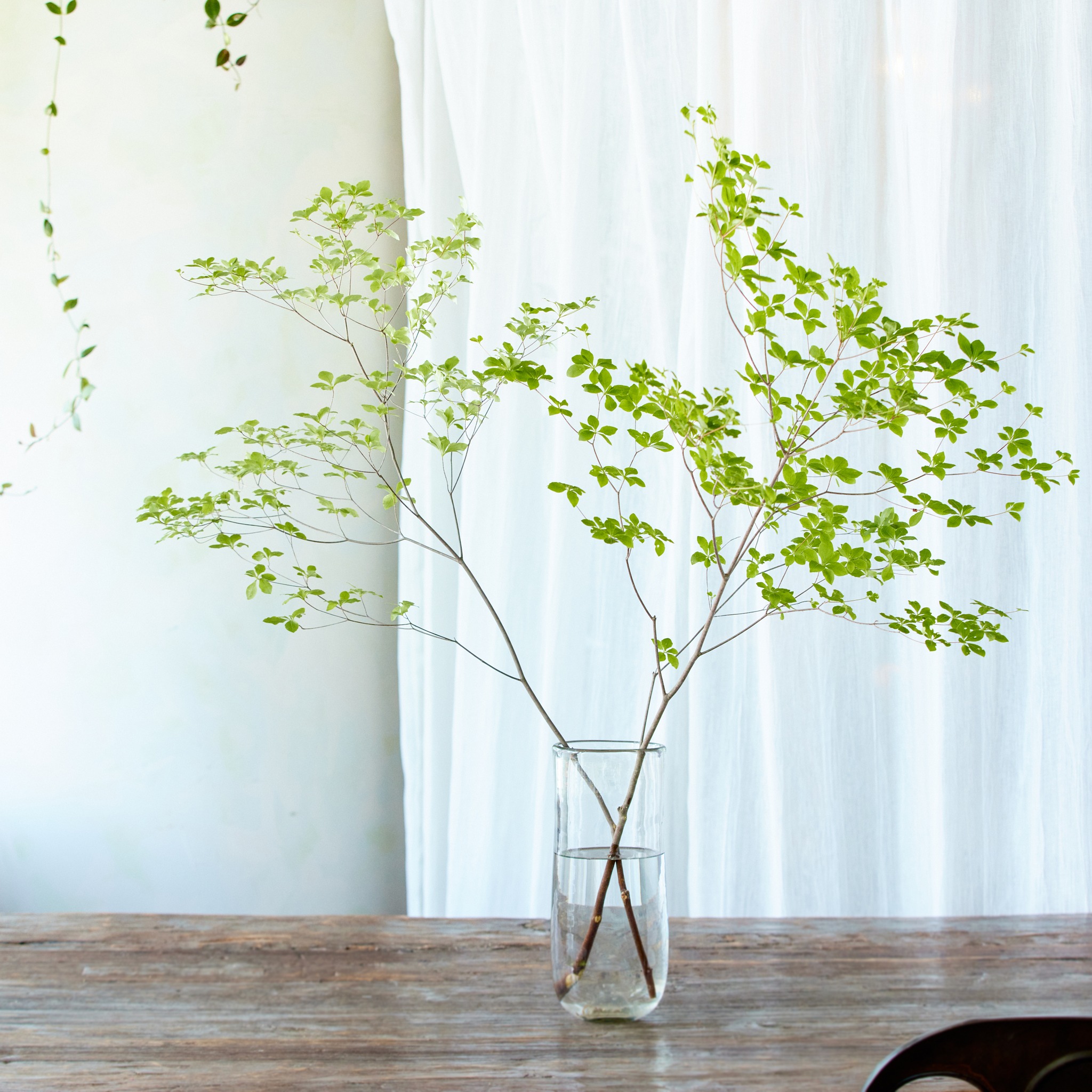 お値下げ！ 花柄四つ葉型スツール 新品 おしゃれ フリンジ Plants x
