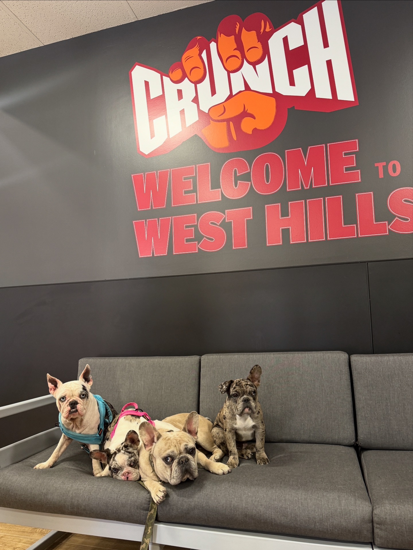 Crunch Select - West Hills | Canoga Park CA