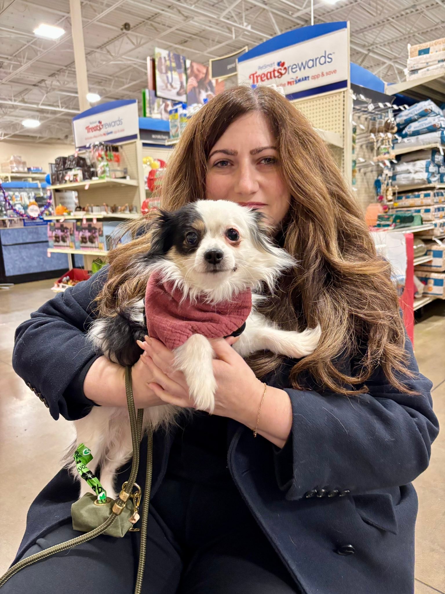 Hampshire County... - Hampshire County Pet Adoption Program